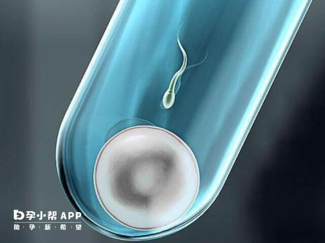 资管配资